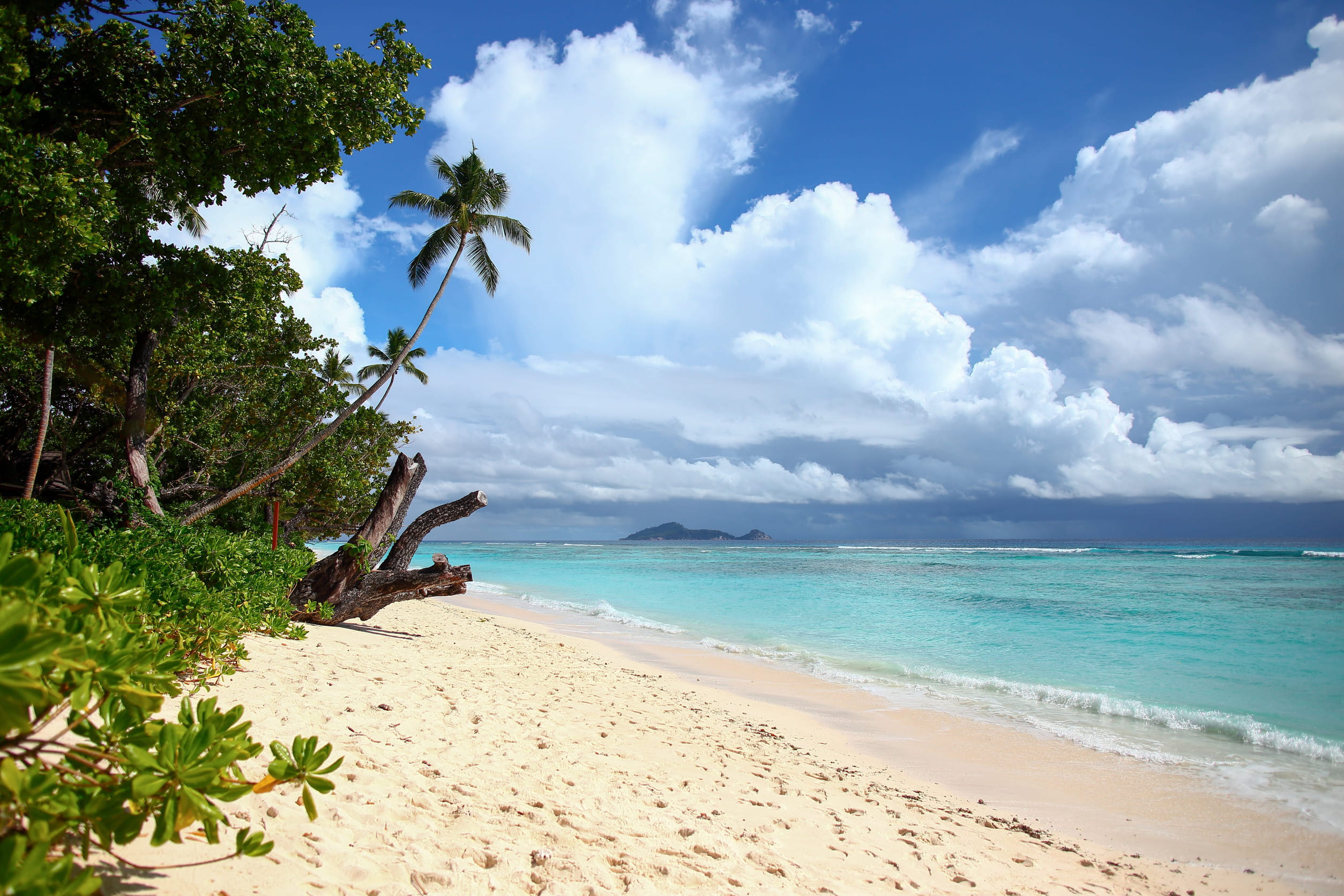 Beach In Praslin Island In Seychelles
