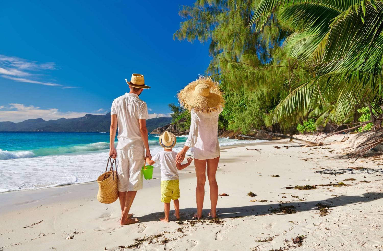 Family Enjoying The Seychelles