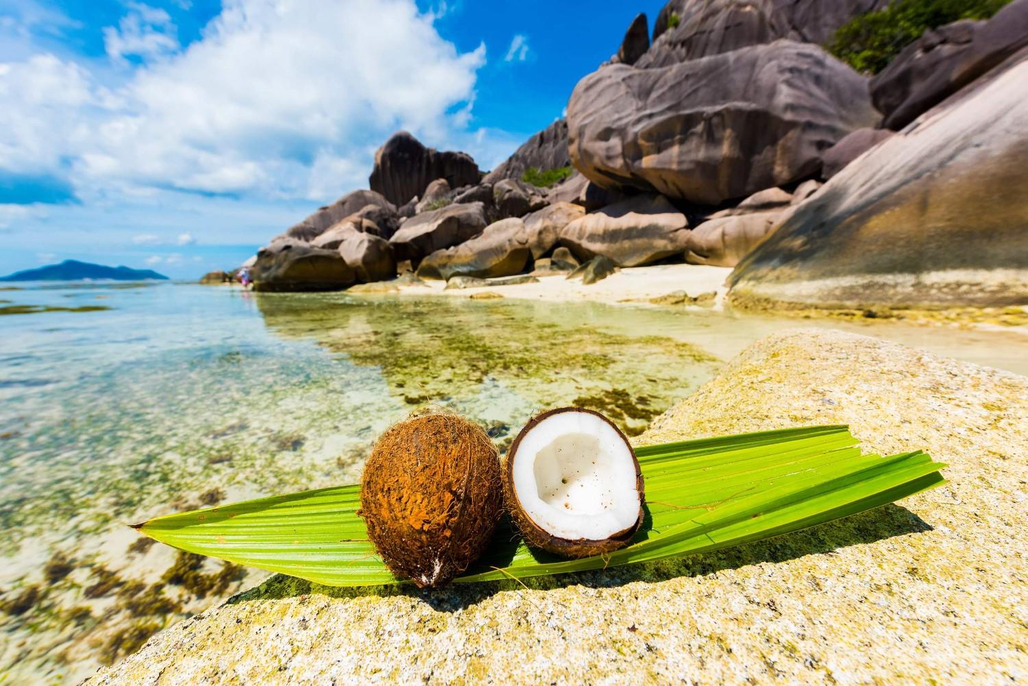 Fresh Coconut On A Seychelles Beach