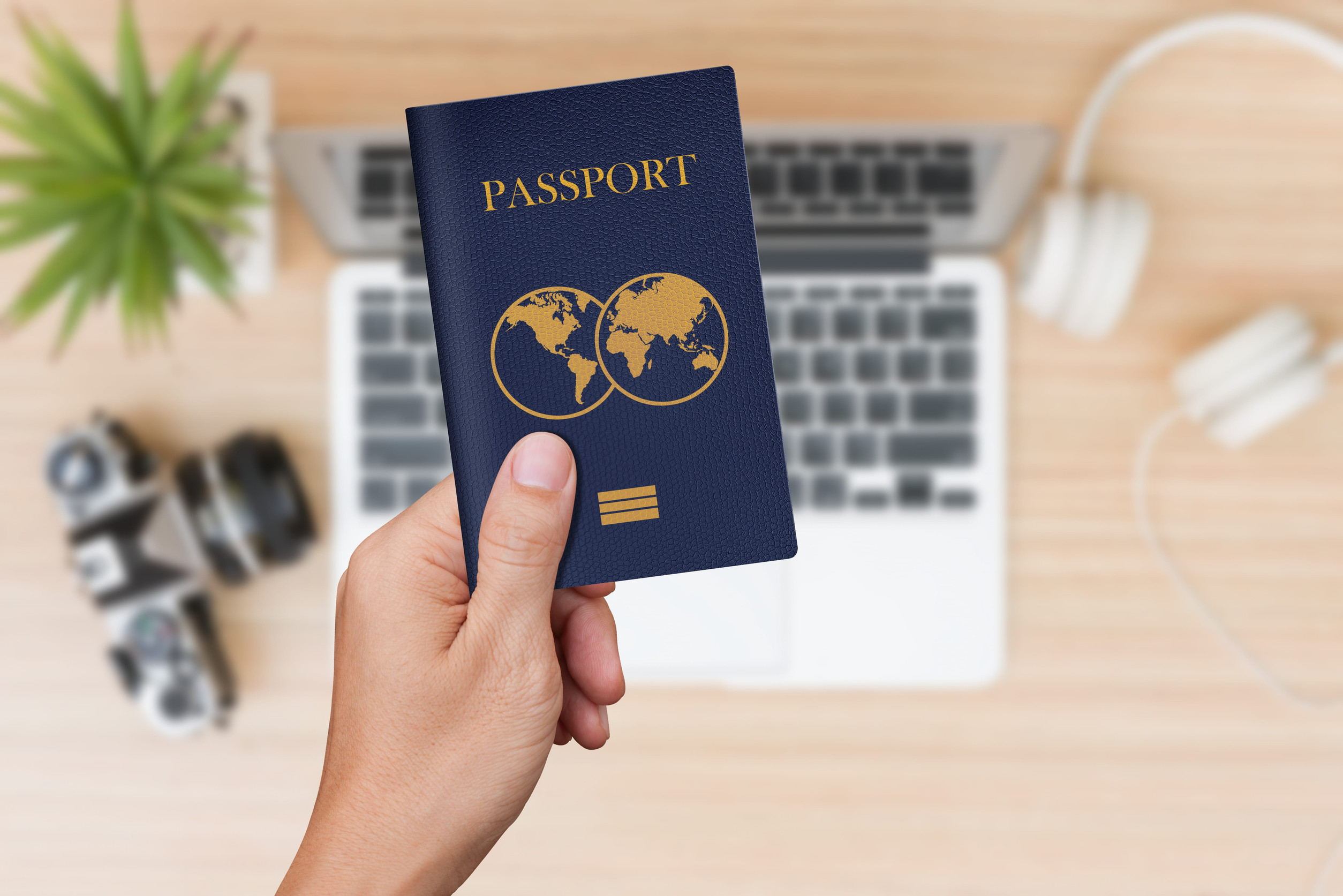 Hand Holding Blue Passport