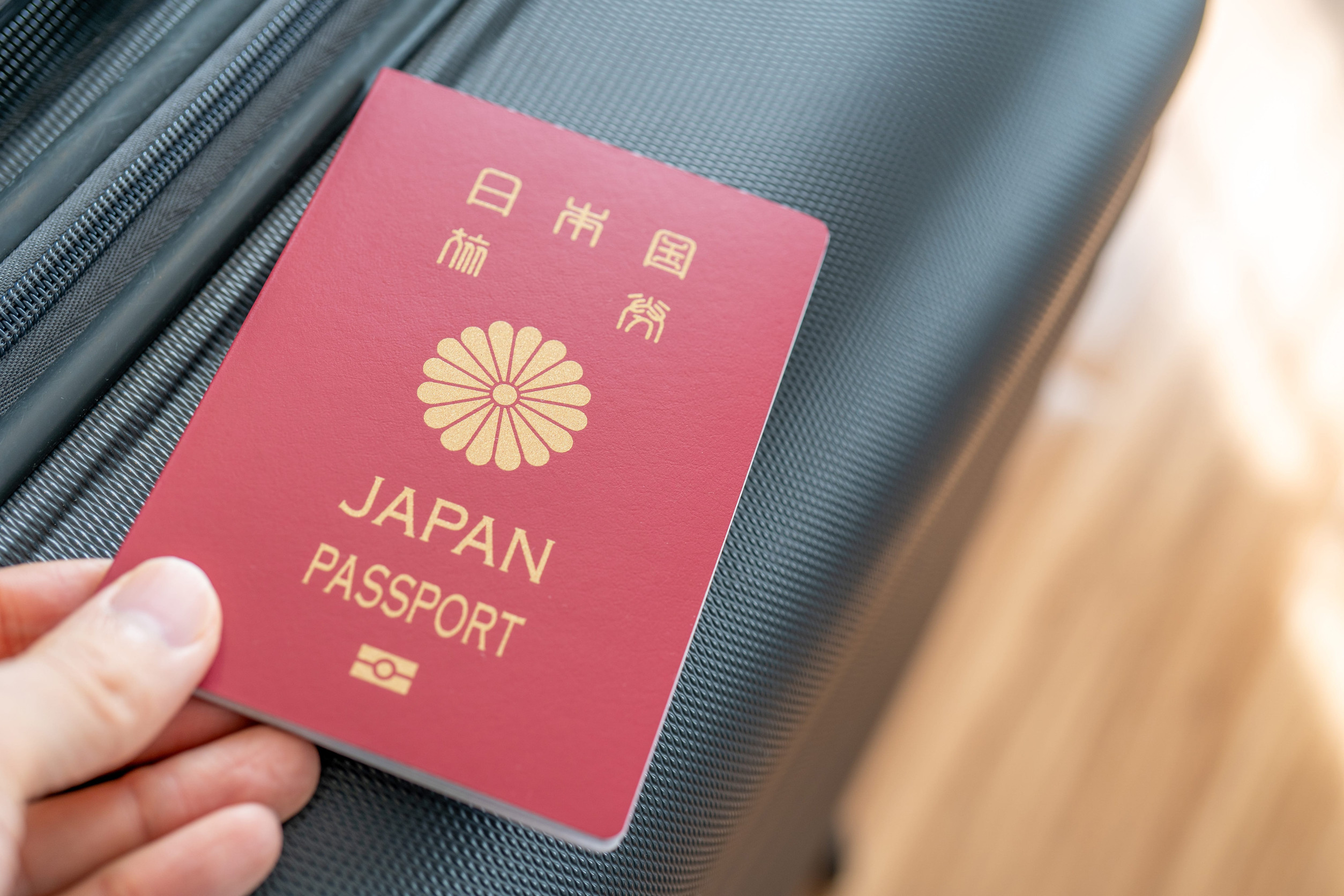 Japanese Passport and Luggage