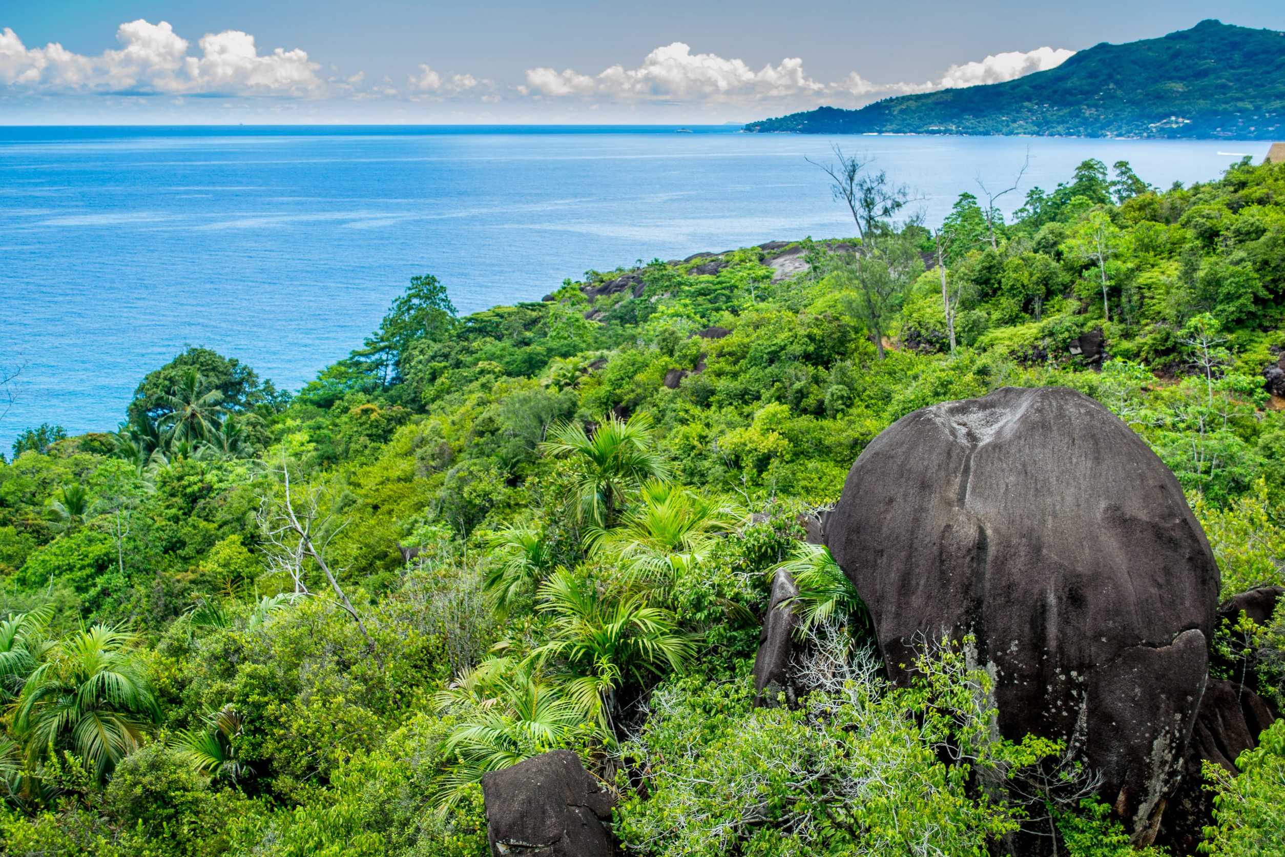 Morne Seychellois National Park In Mahe Seychelles