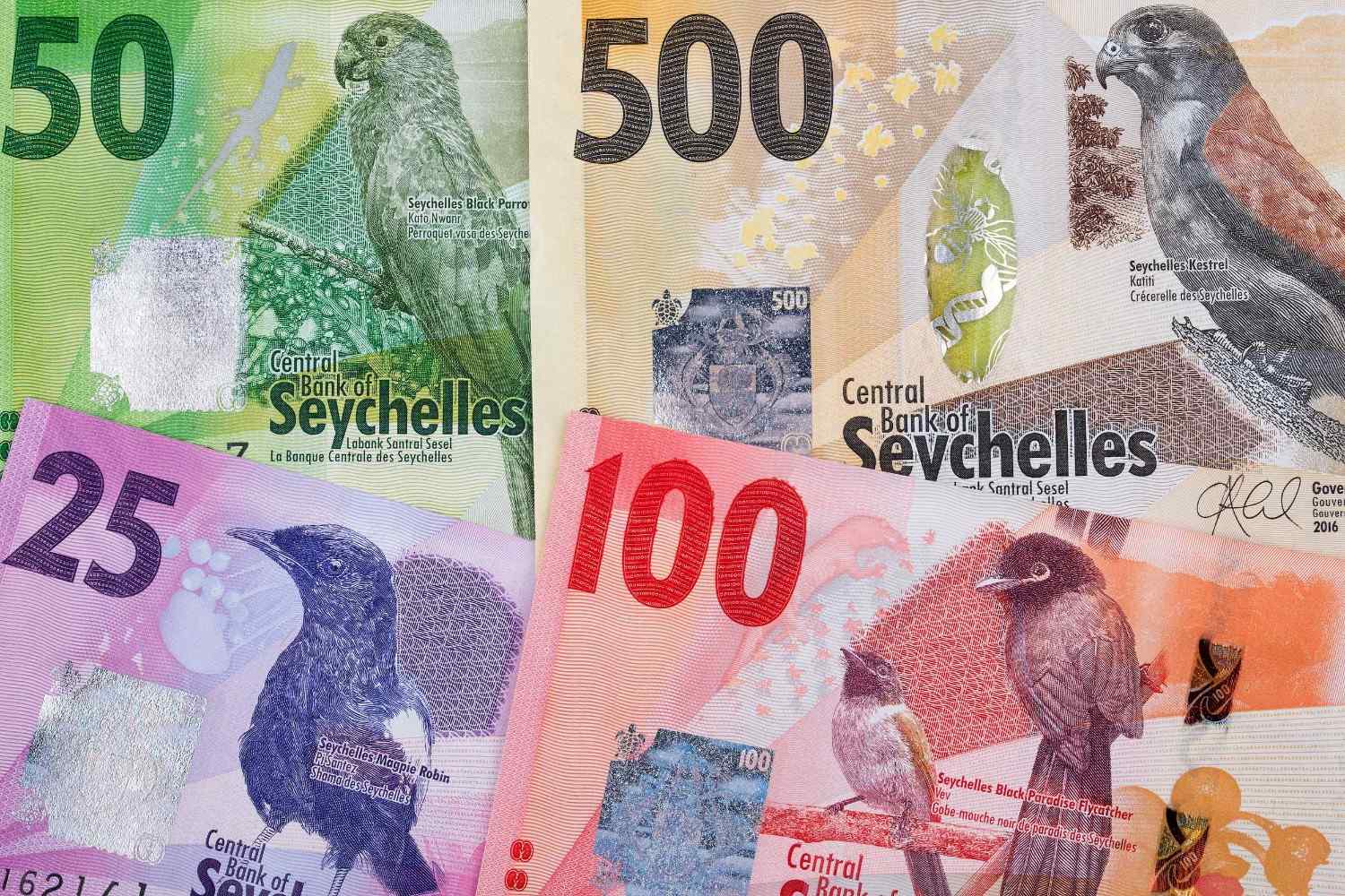 Seychelles Currency