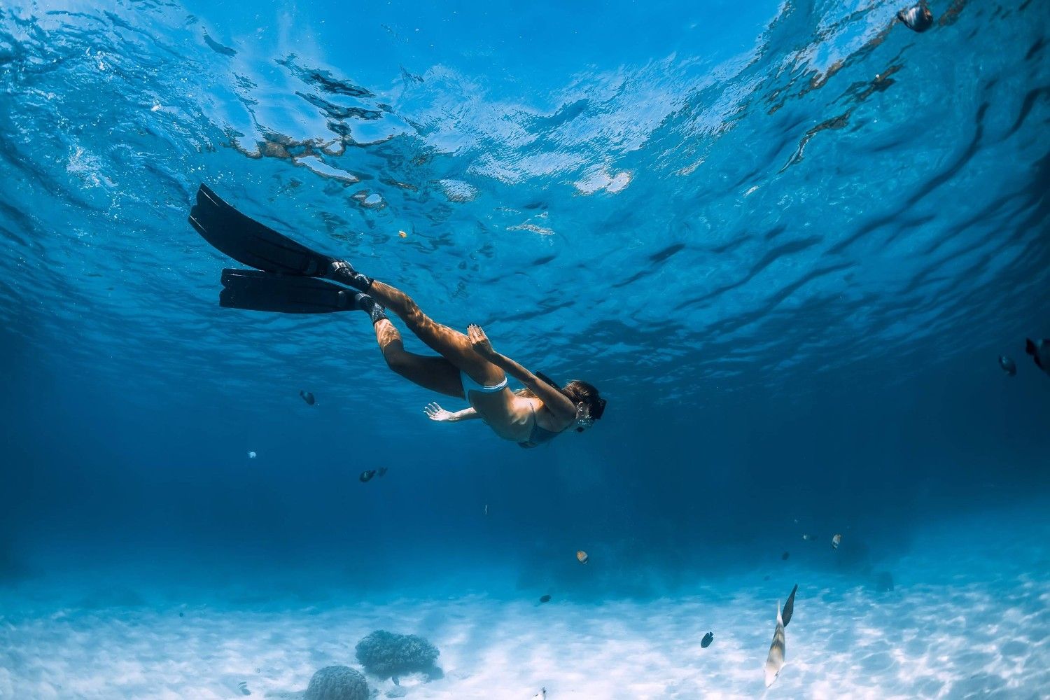 Snorkelling In Crystal Clear Seychelles Waters