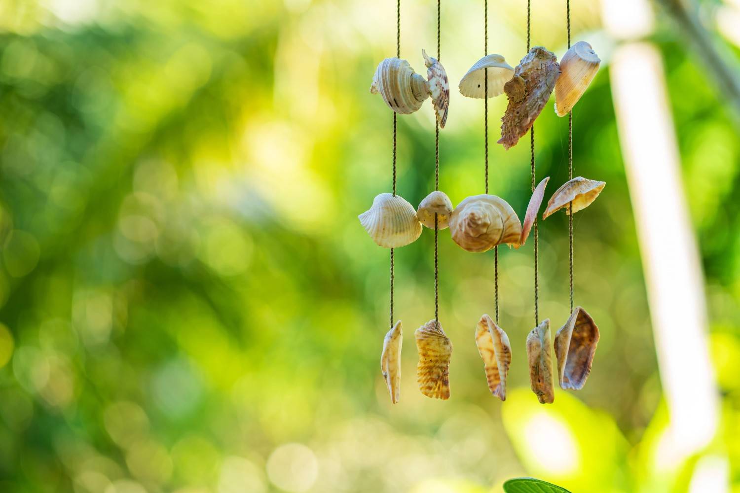Souvenirs Made From Seychelles