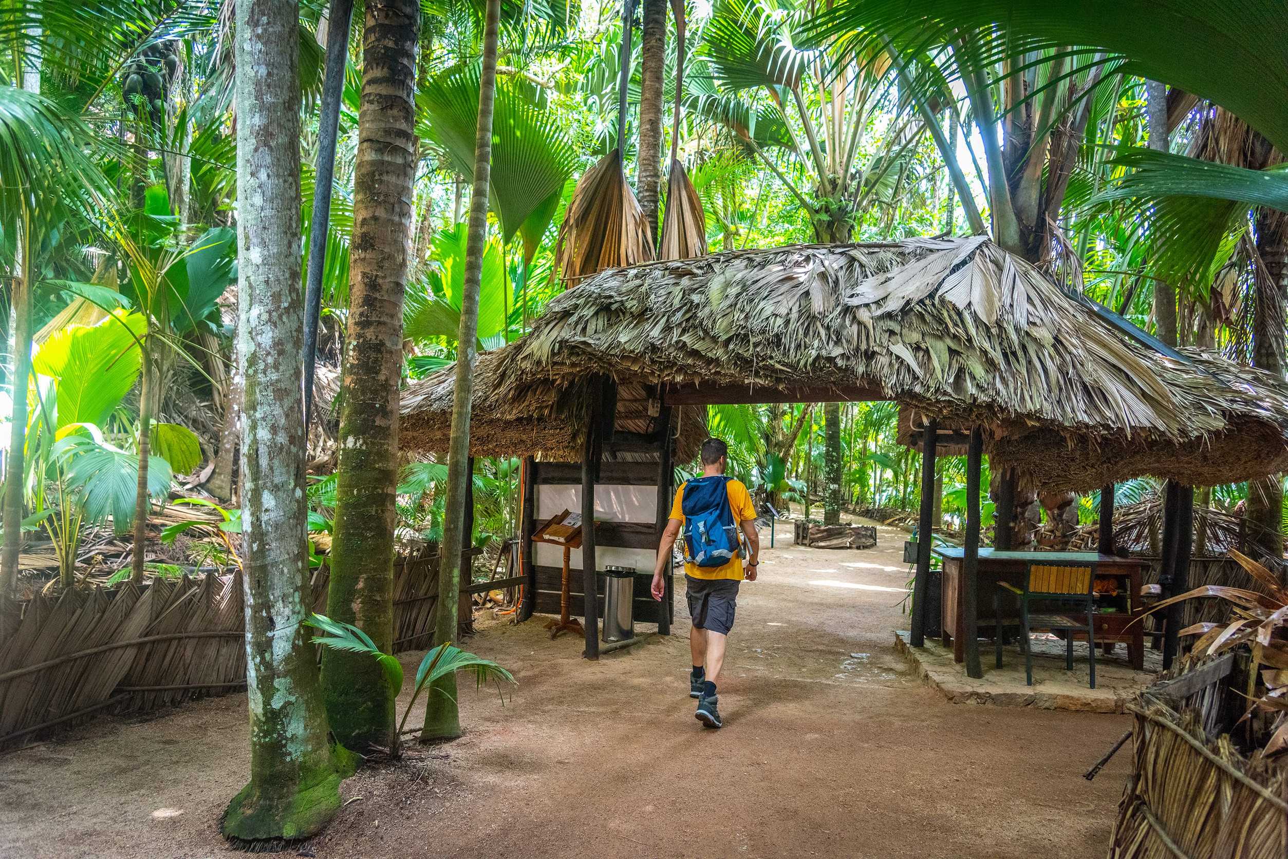 Tourist Entering Vallee De Mai Nature Reserve Seychelles