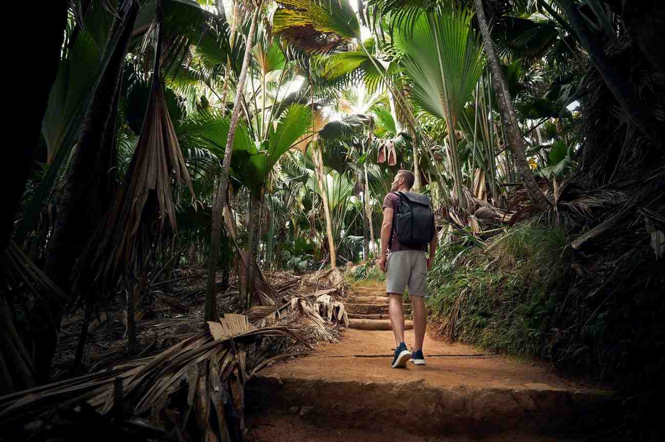Traveller Exploring Seychelles Tropical Rainforest Trail