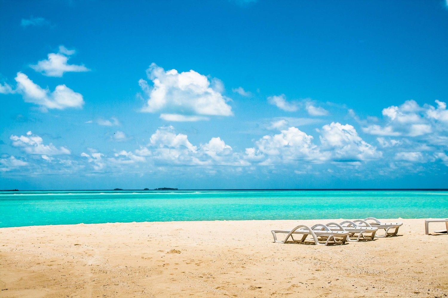 Tropical Maldives Beach With Wooden Benches