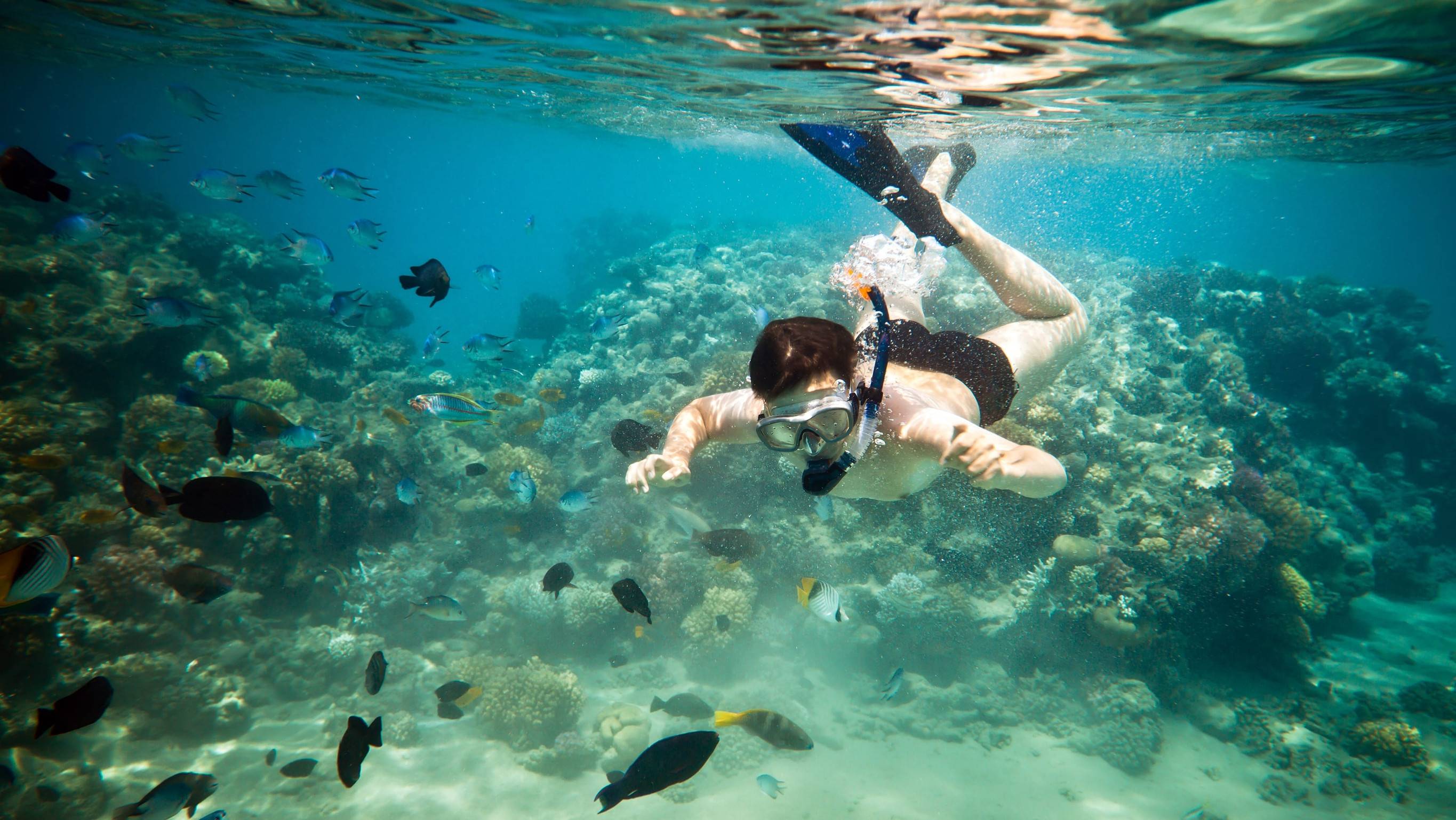 Woman Snorkelling In La Digues Beach
